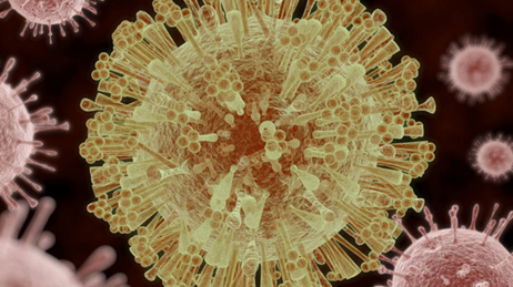 Close-up view of the Zika virus under a microscope