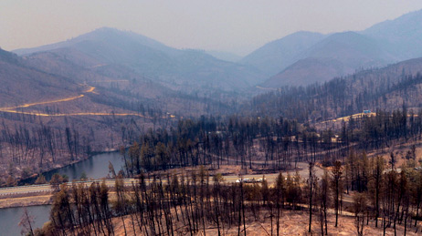 Aerial view of burned land and trees at the Carr Fire site